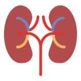 com.Treatmento.Kidneyyo