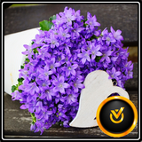 com.mydeveloper.thankyoucards