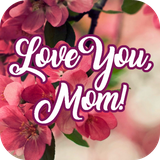 com.amityapps.happybirthdaymom