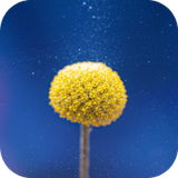 com.Cool.wallpaper.coolimage.cool.background.wallpaper