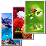 com.WallpapersHDBackgroundsBest