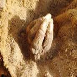 ir.marmoztaren.rostaha.d