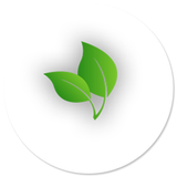 app.company.aryasoft.sepina