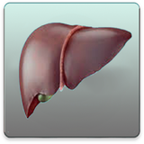 com.pishtaznovin_t.kabed