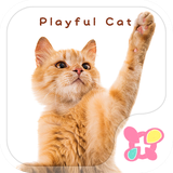 jp.co.a_tm.android.plus_play_cat