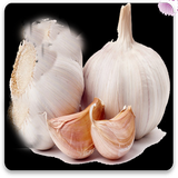 com.mnz_sqlnoimg.sirdarmani