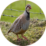 com.khorshid_ht.kabk