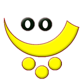 com.example.flutter_project