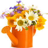 ir.shaparakha.golvgiah