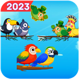 zsorting.birdsirtcolo.puzbird.sortsbirds