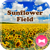 jp.co.a_tm.android.plus_himawaribatake