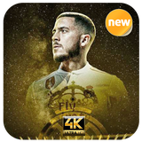 com.EndangArt.Hazard_Wallpaper