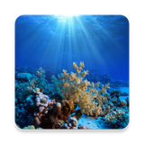 in.softecks.oceanography