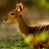 com.hkredf.trailcamerapro