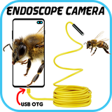 us.endoscopecamera.inspectioncamera.snakecamera.borescopeinspection