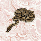 com.samsam.snake.screen