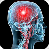 ir.arzanikamran.migeren