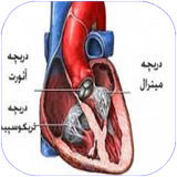 star2.bimarihayedaricheighalb