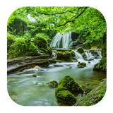 com.kikaapps.relax.forest.sound