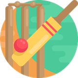 com.btstudios.cardcricket19