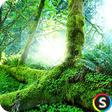 com.Sadroid.Wallpaper.Jungle