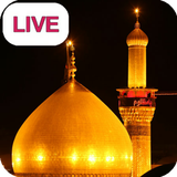 ir.aliakhavan.playingliveshrines