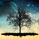 com.vm.android.harmony2.lite