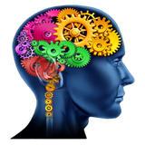 com.stepbystep.TrainYourBrain