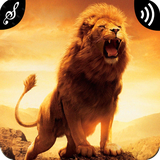 com.appsbrand.lionsoundsringtones