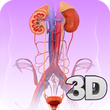 com.visual3dscience.urinarysystempro