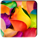 com.shadan.rangetobegoofaletobebinam