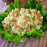 com.faghragha.soft.salad