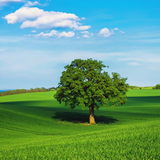 com.ketabsaz.book2366