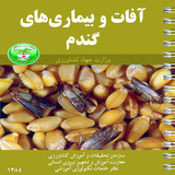 ir.dehkadesabzeshomalgan.wheatpests