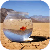 folad.danestanihayeghlim