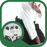 ir.tinasoft.aikido_fonon_s