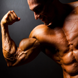 ir.besttry.amozeshbadansazifree