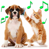 animalringtones.animalsoundsfree
