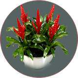 com.khorshid_ht.golapartemani