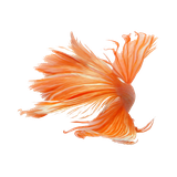 ir.sourceandroid.ipone6wallpaper1