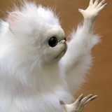 com.brokenanimals.stickers.meme.funny.wastickerapps