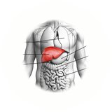 Moraghebat.Az.Kabed.EmaRoid.ir