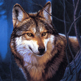 com.yodesoft.android.game.yopuzzleWolves