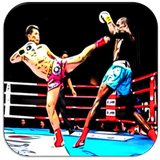 com.appsfreeinc.kickboxingmuaythaiAikido