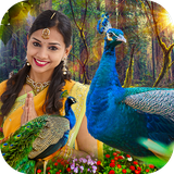 com.oxigenkeyline.peacockphotoframes