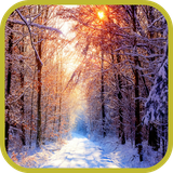 com.app3dwallpaperhd.springwallpaper