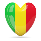 ml.maliyiri.bambaradictionary