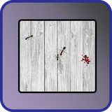 com.smashall.antsgame