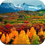 com.autumnwallpaper.autumnHD