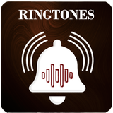 com.hadifetrati.R_Arameah